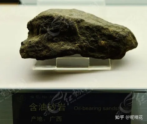 石油是怎么产生的?-图片1